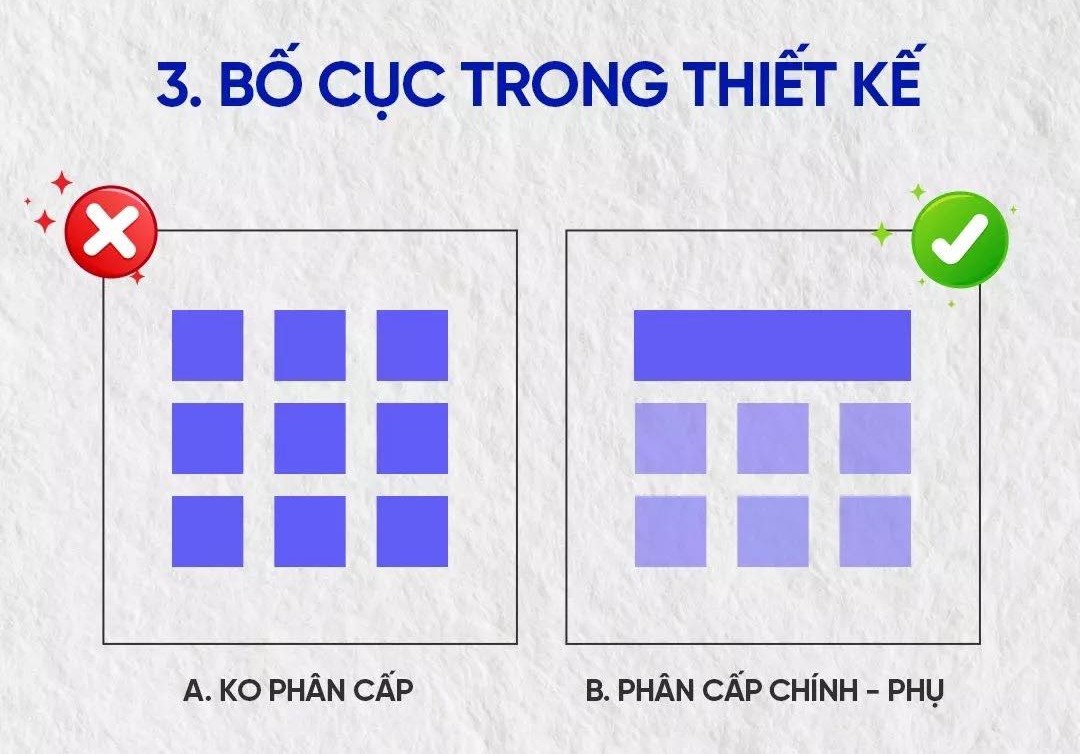bố cục